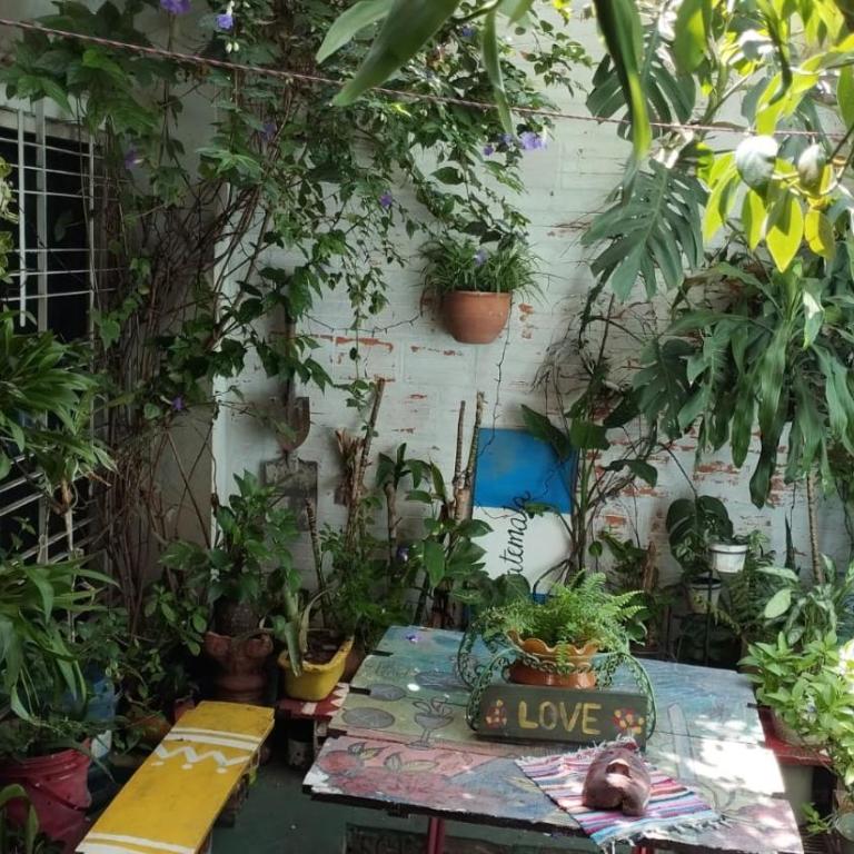 Hostel La petite maison de Diana - Double Room with Garden View - 6