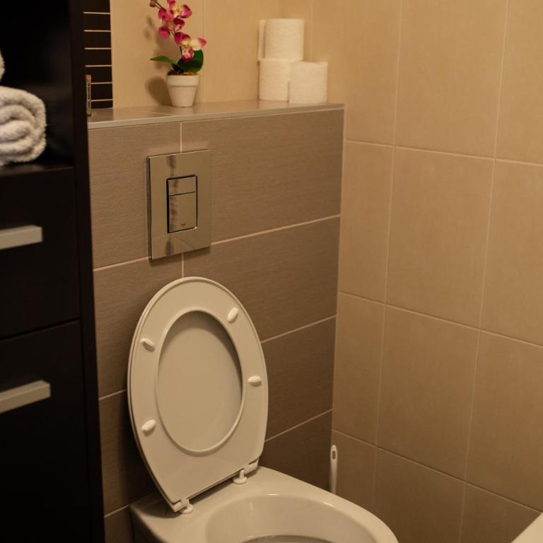 DVA stan na dan - Apartman sa 2 Spavaće Sobe - 11