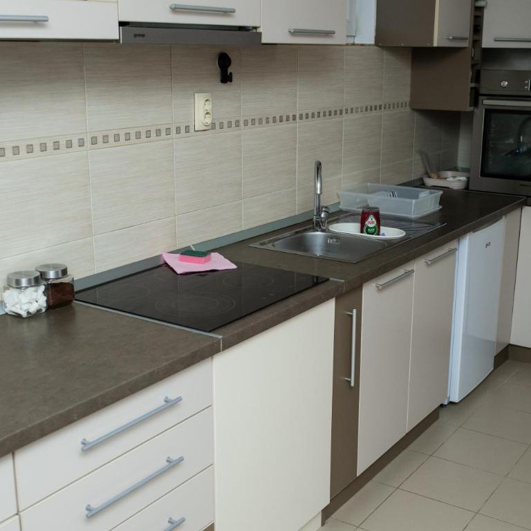 DVA stan na dan - Apartman sa 2 Spavaće Sobe - 30
