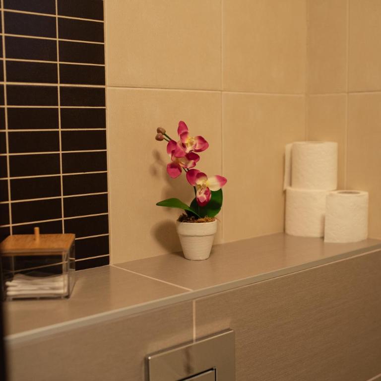 DVA stan na dan - Apartman sa 2 Spavaće Sobe - 38