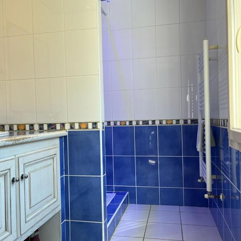 Maison de charme à BIOT avec piscine privée - Villa - 55