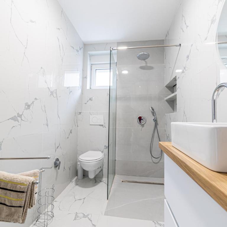 City Center Gorusa Design Apartments - Klasičan Apartman - 8