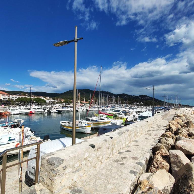 Haut de maison T3 sur Jardin - Carqueiranne - Appartement 2 Chambres - 16