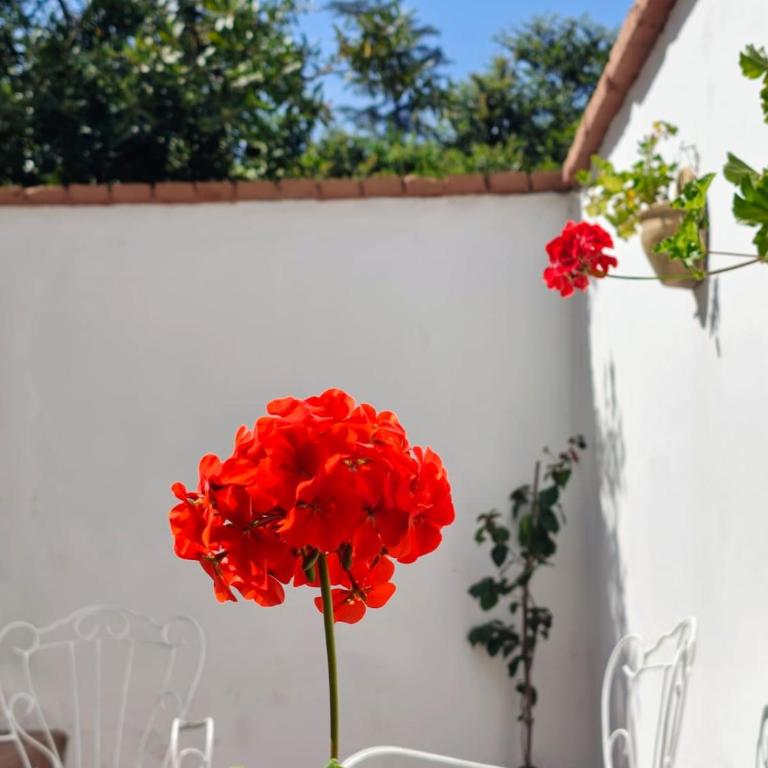A un paso del Parque - Apartamento de 2 dormitorios - 13