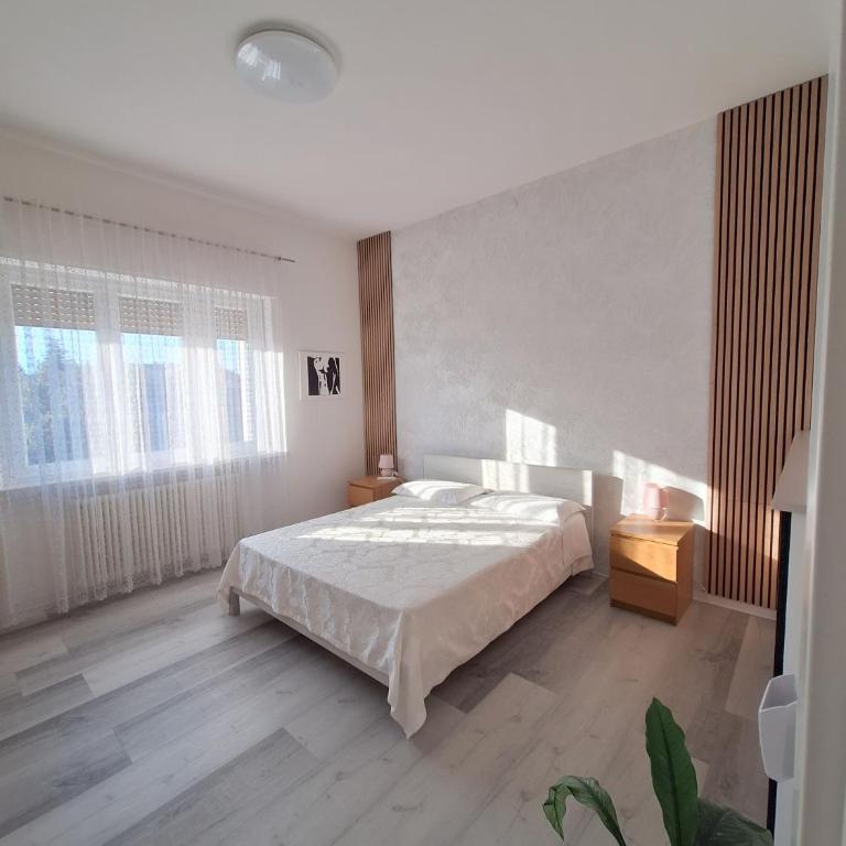 Giada Rooms appartments - Camera Familiare con Bagno Privato - 4