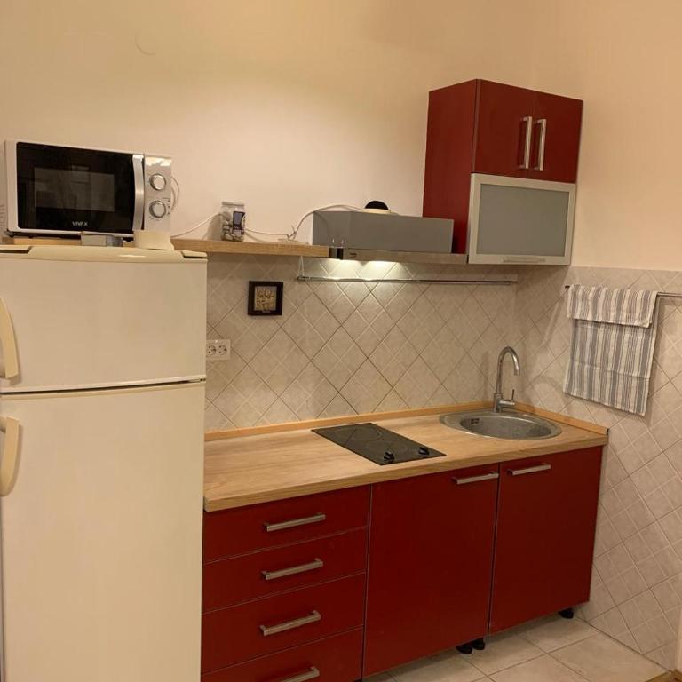 Topla Apartment - One-Bedroom Apartment - 2