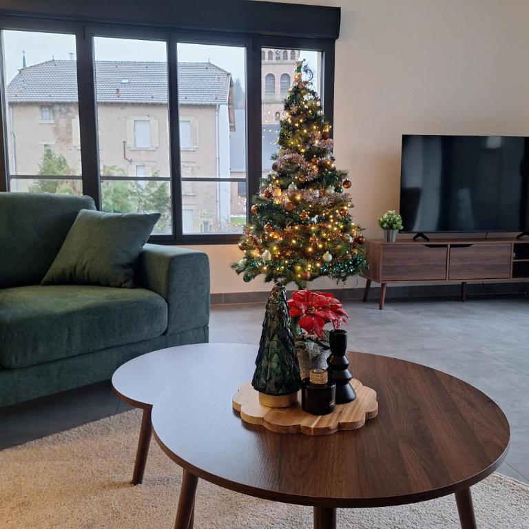 Gîte au cœur du centre ville de Gérardmer - Appartement - 19
