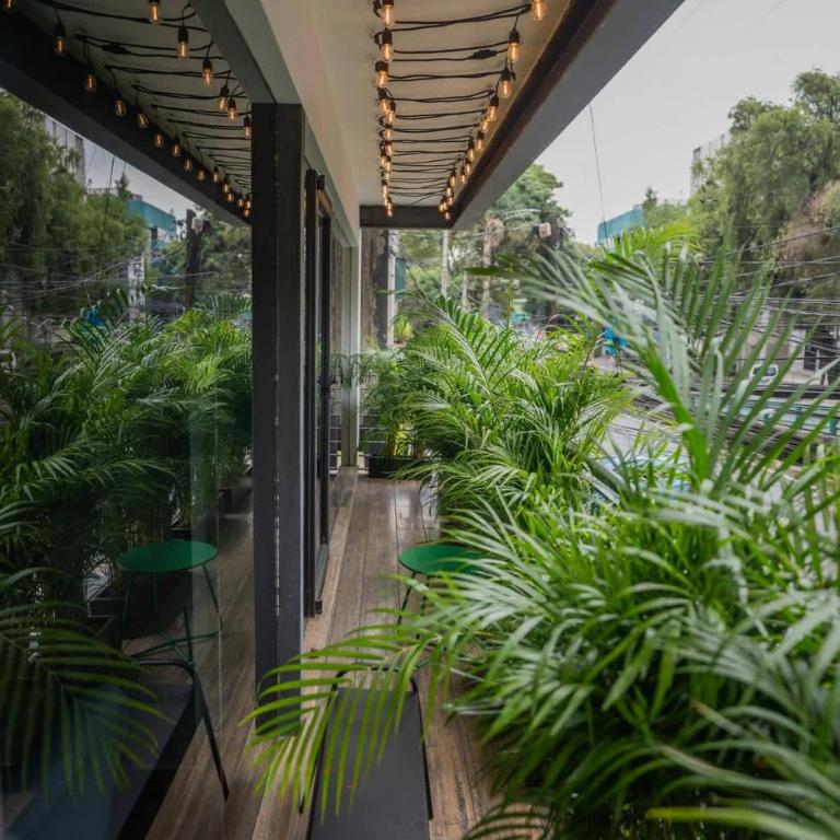 Stylish 2BR-2BA Near Plaza de Toros Mexico City - Apartamento de 2 dormitorios - 11