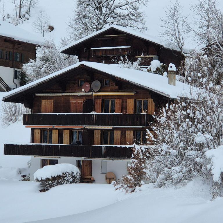 ABO - Boutique Apartment - Chalet Grindelwaldgletscher - Appartement 1 Chambre - 21