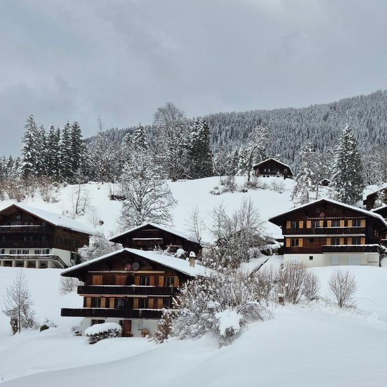 ABO - Boutique Apartment - Chalet Grindelwaldgletscher - Appartement 1 Chambre - 22