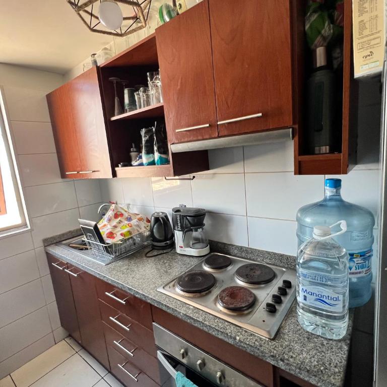 Comodo y acogedor departamento central a pasos del mall - One-Bedroom Apartment - 10