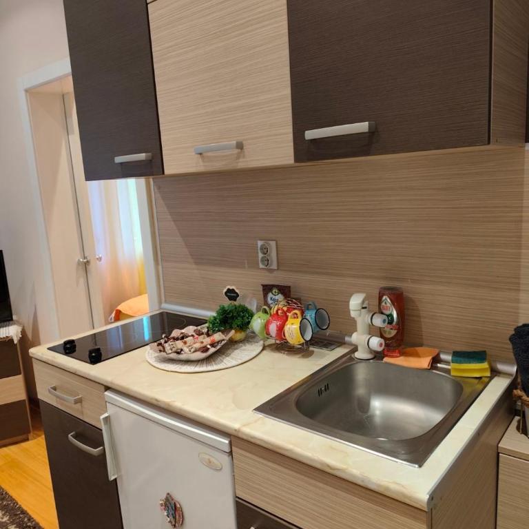 Apartman Nona - Apartman sa 1 Spavaćom Sobom - 5