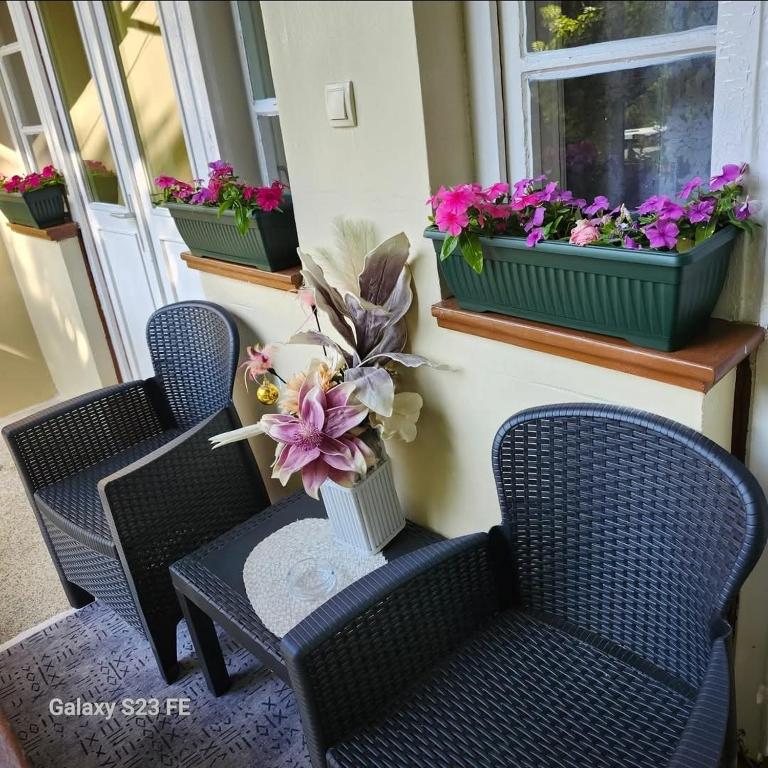 Apartman Nona - Apartman sa 1 Spavaćom Sobom - 9