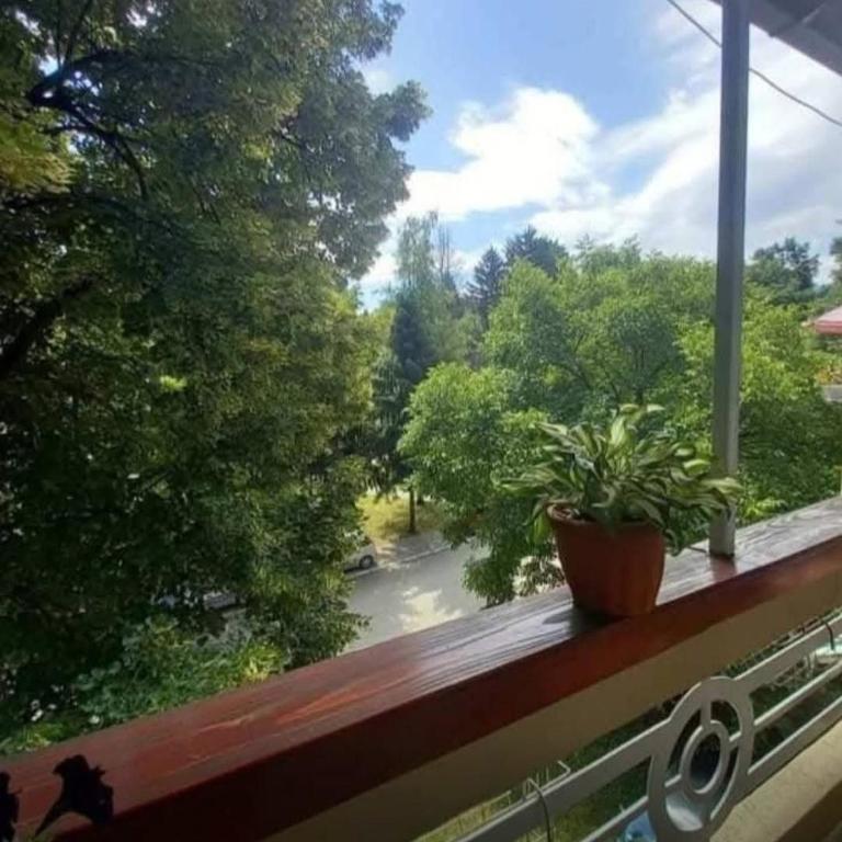 Apartman Nona - Apartman sa 1 Spavaćom Sobom - 10