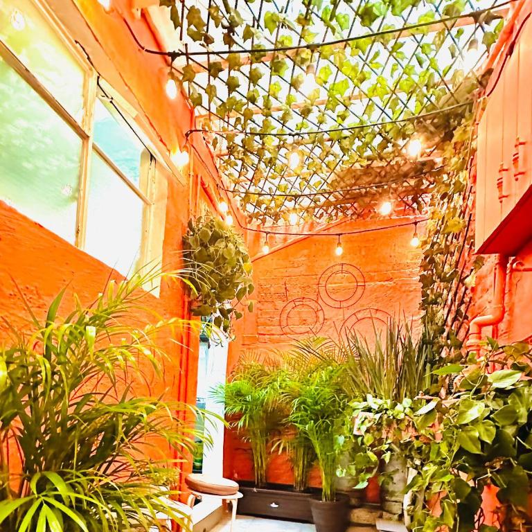 The Simple Life - Tiny Home in Roma Sur - One-Bedroom Apartment - 15