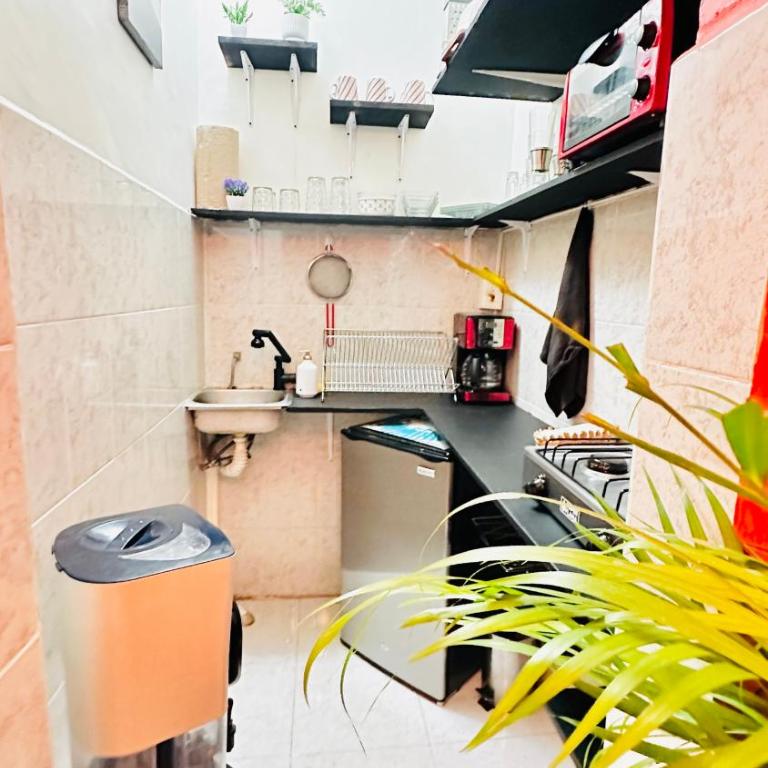 The Simple Life - Tiny Home in Roma Sur - One-Bedroom Apartment - 32
