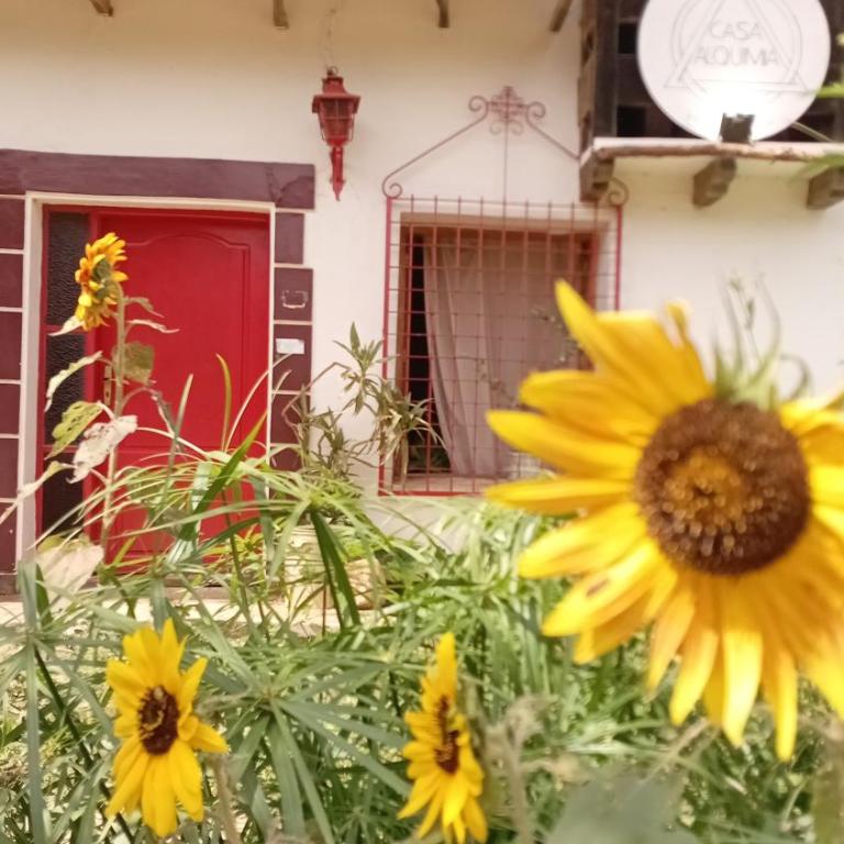 Casa Alquimia La Cabaña - Vacation Home - 2