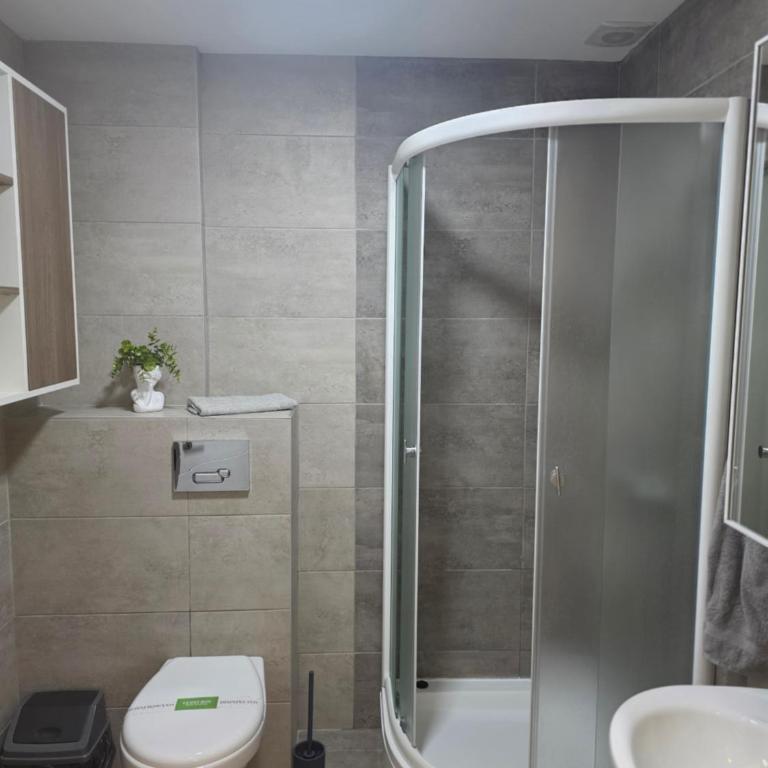 Vision apartmani Vrnjačka Banja - Apartman s 1 Spavaćom Sobom i Terasom - 27