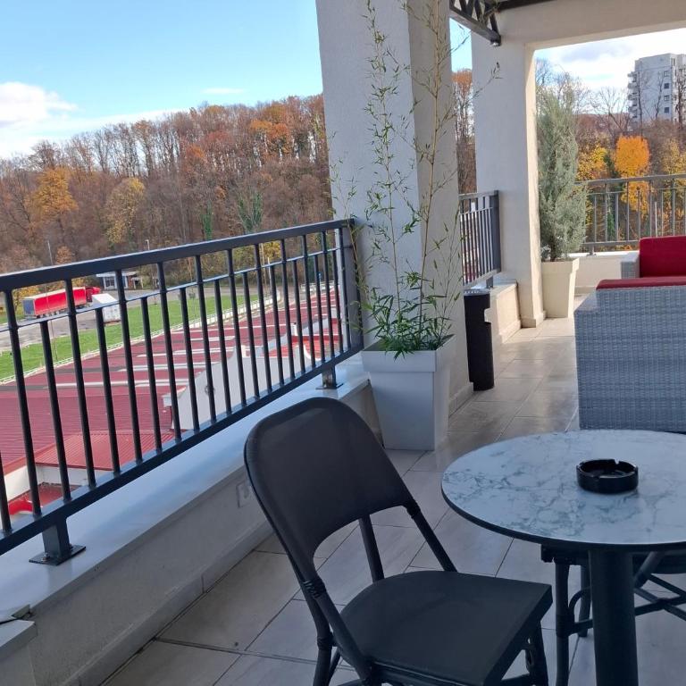 Vision apartmani Vrnjačka Banja - Apartman sa Terasom - 1
