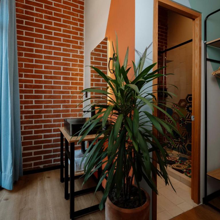 Hotel Terracota mx - Double Room with Private Bathroom - 8