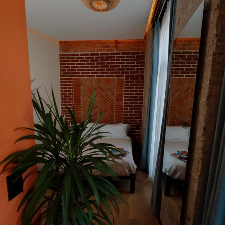 Hotel Terracota mx - Double Room with Private Bathroom - 17