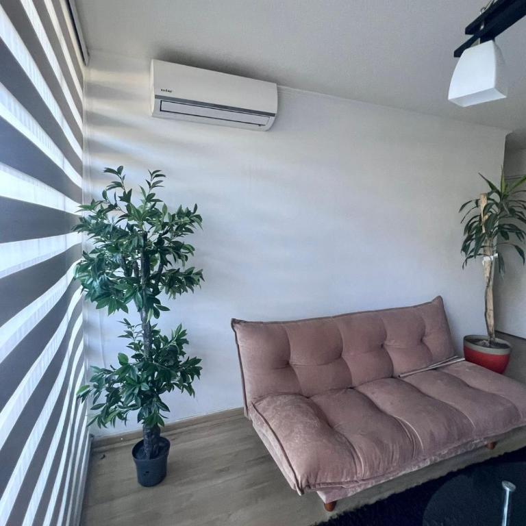 Departamento Angol, con estacionamiento - Apartamento de 3 dormitorios - 18