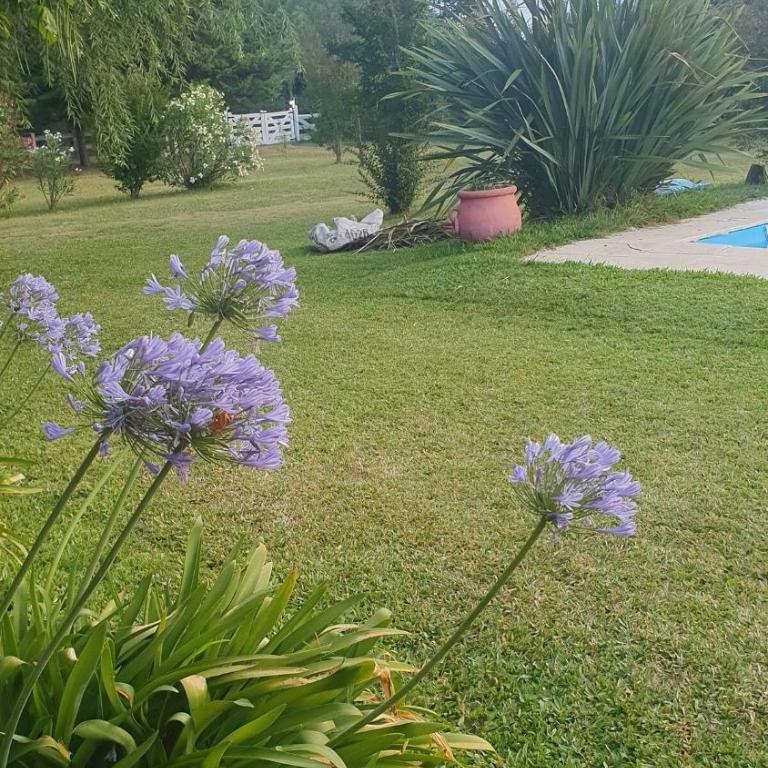 Quinta Los Alamos - Casa de 3 dormitorios - 17