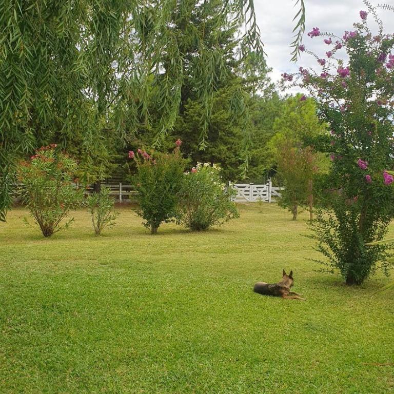 Quinta Los Alamos - Casa de 3 dormitorios - 23