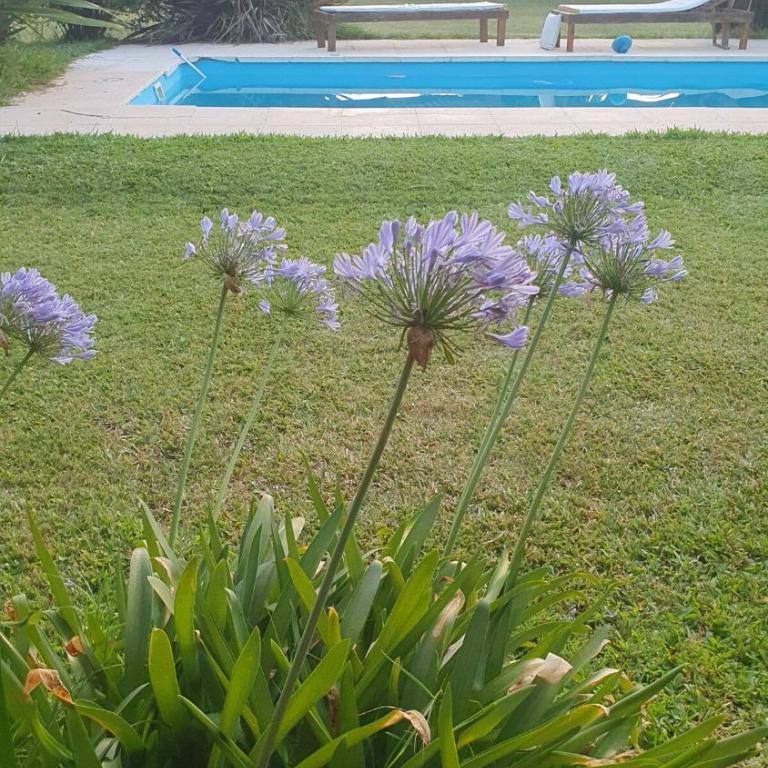 Quinta Los Alamos - Casa de 3 dormitorios - 32
