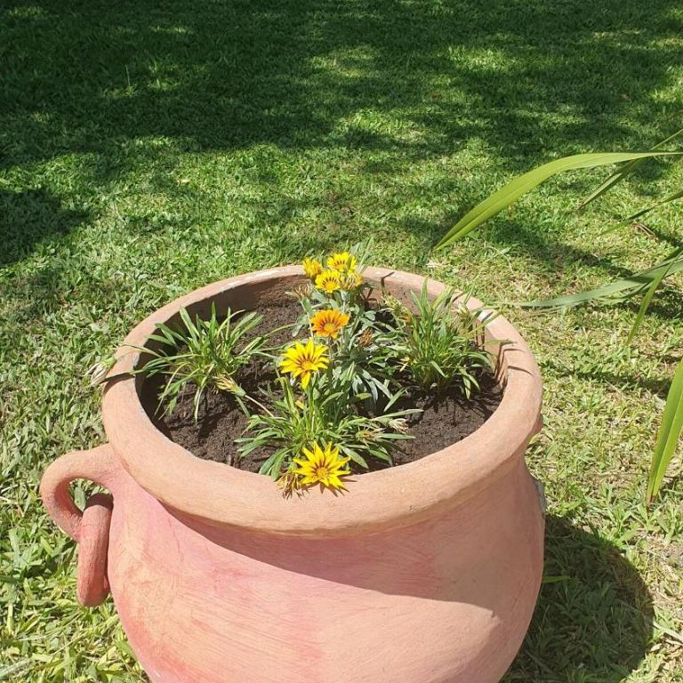 Quinta Los Alamos - Casa de 3 dormitorios - 34