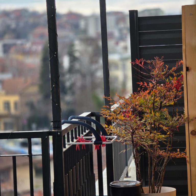 Vision apartmani Vrnjačka Banja - Apartman sa Terasom - 4