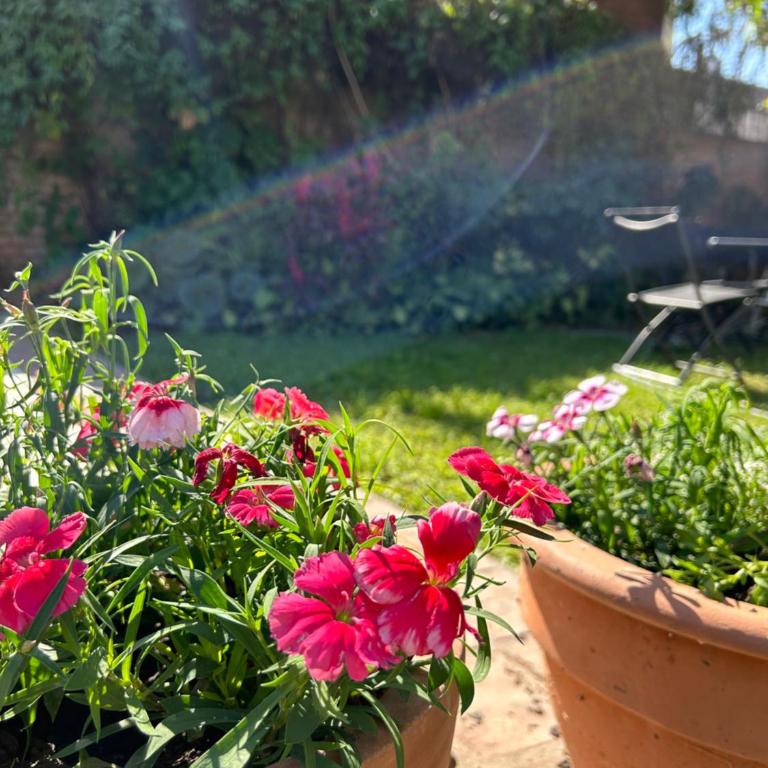 Casa Quinta en el centro - Casa de 4 dormitorios - 3