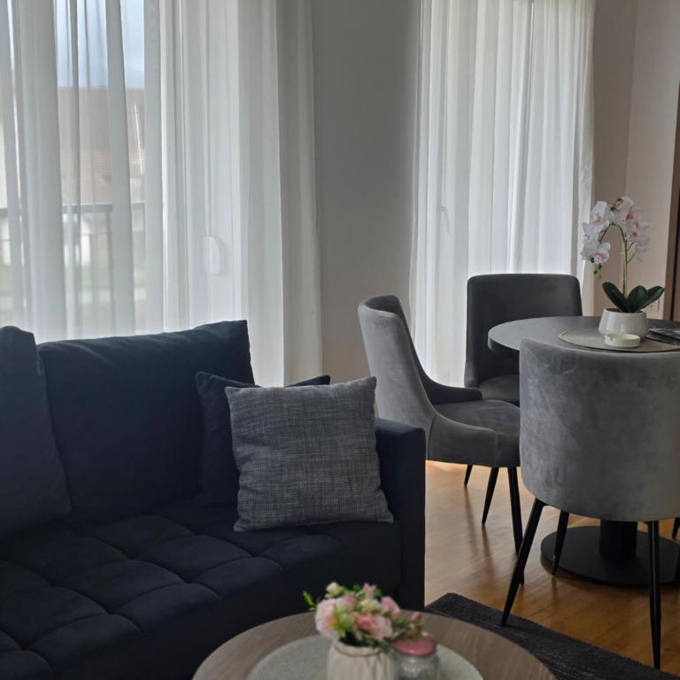 Royal apartmani Vrnjačka Banja - One-Bedroom Apartment with Terrace - 13