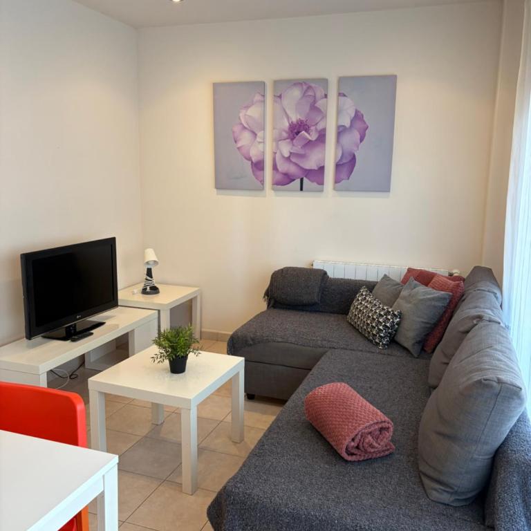 Apartamentos TDM - Apartamento de 1 dormitorio - 5