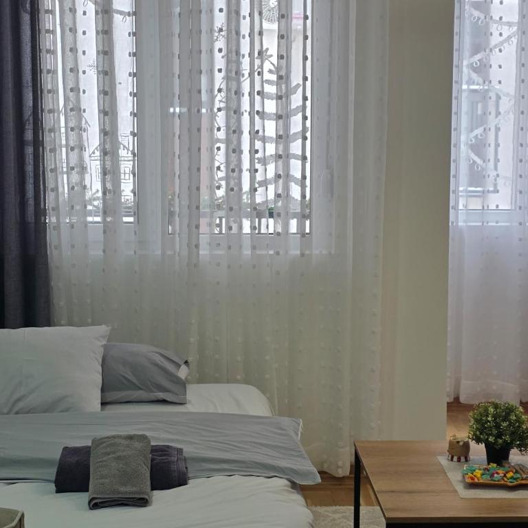 Royal apartmani Vrnjačka Banja - Studio with Terrace - 2