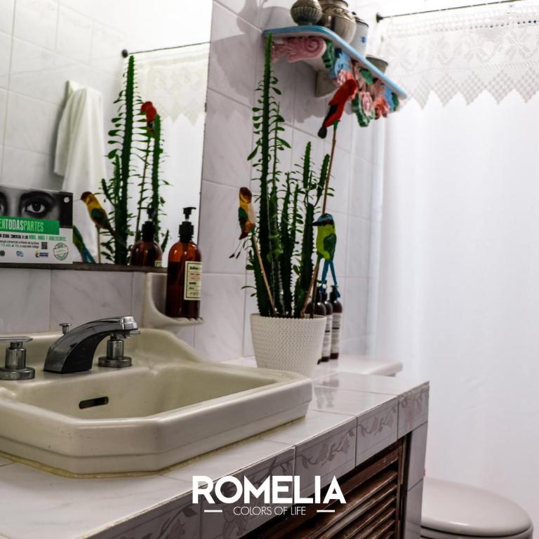 Finca Romelia Orchids and Birds - Habitación Doble con baño compartido - 2 camas - 4