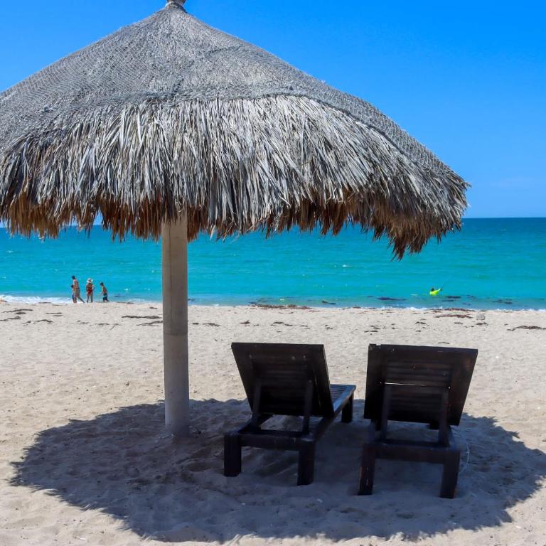 Hidden Gem Condo Beach & Pool Access #503 - Apartamento - 25