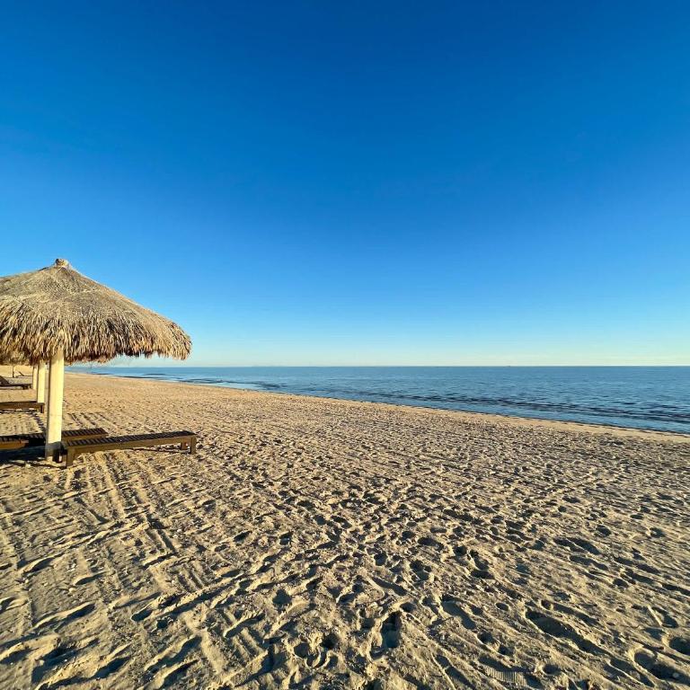 Hidden Gem Condo Beach & Pool Access #503 - Apartamento - 37