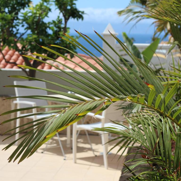 Villa Ellen Costa Adeje View a Heated pool luxury - Villa de 3 dormitorios - 10