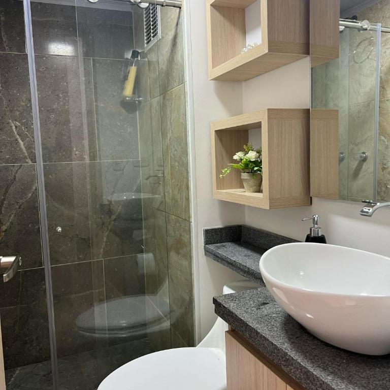 Apartamento RUTA TERMALES Y NEVADOS - Apartamento de 2 dormitorios - 18