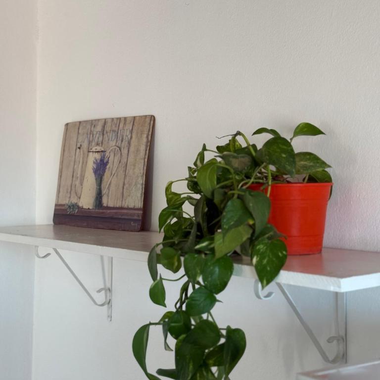Rufaking - Apartamento de 2 dormitorios - 2