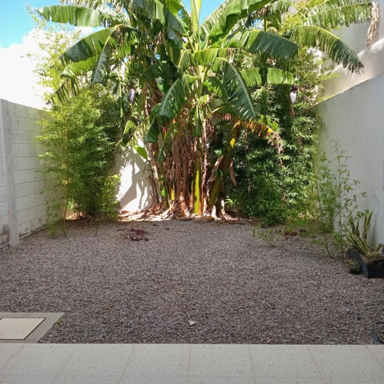 Renzo 1 - Two-Bedroom House - 10