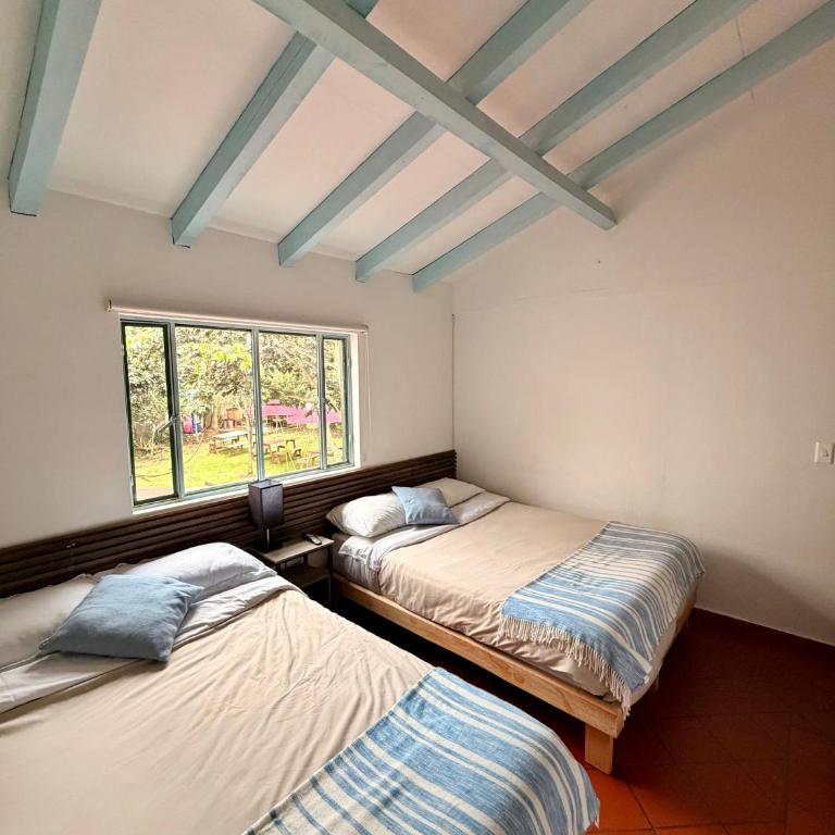 Posada Santa María Villa de Leyva Sede La Palma - Deluxe Twin Room - 7