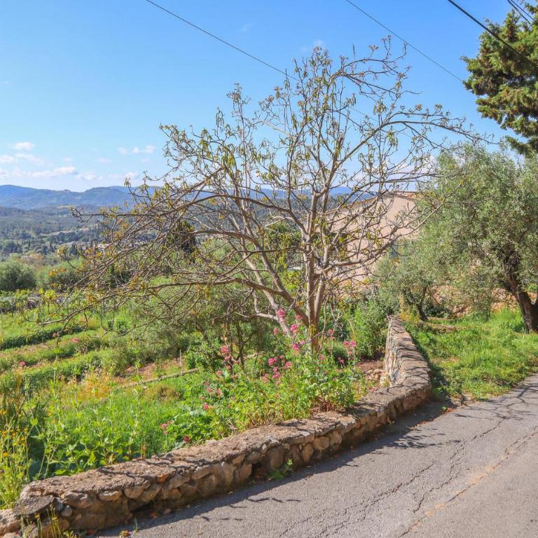 Gorgeous Home In Speracedes With Wifi - Maison de Vacances 3 Chambres - 5