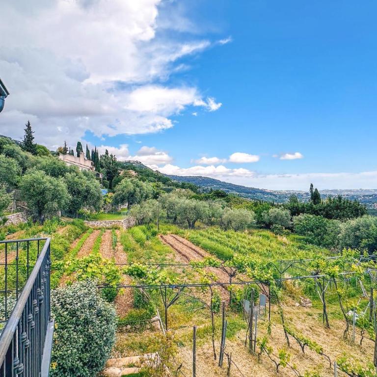 Gorgeous Home In Speracedes With Wifi - Maison de Vacances 3 Chambres - 6