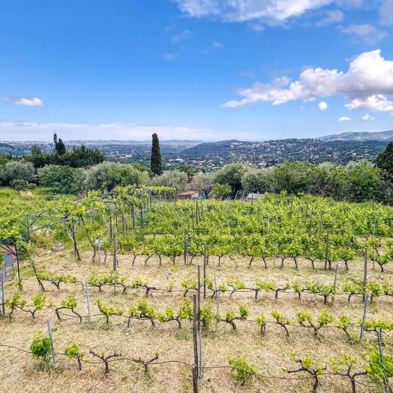 Gorgeous Home In Speracedes With Wifi - Maison de Vacances 3 Chambres - 8