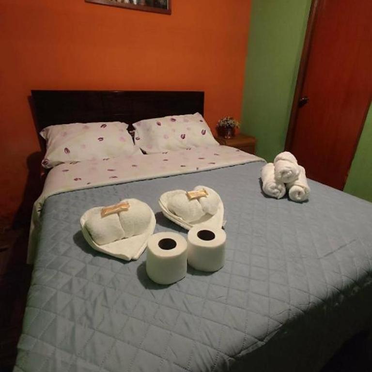 Hotel Cruz del Condor sky terrace - Plaza de armas Cabanaconde - Habitación Doble Grande - 1