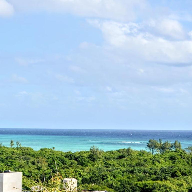 Luxury Caribique Ocean View Condo Jacuzzi Telescope Rooftop Pool - Studio with Sea View - 9