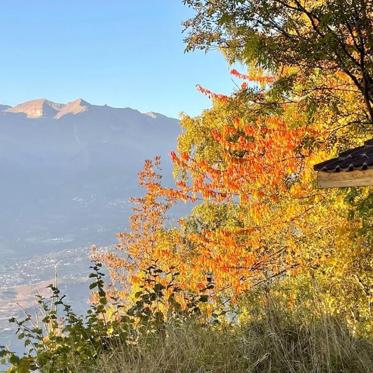 Sweet Chalet in Switzerland - Chalet mit 3 Schlafzimmern - 3