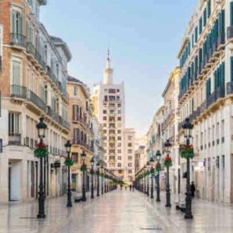 Magnífico piso en centro histórico de Málaga. - Apartamento de 1 dormitorio - 12